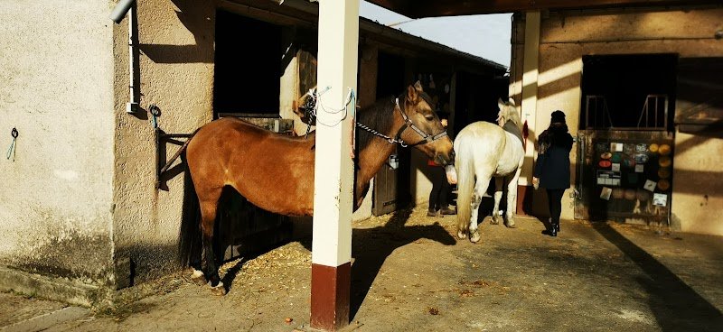 Les Ecuries de Mériel - photo 3