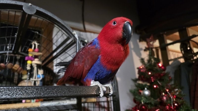 Ecuries Castelin - photo 2