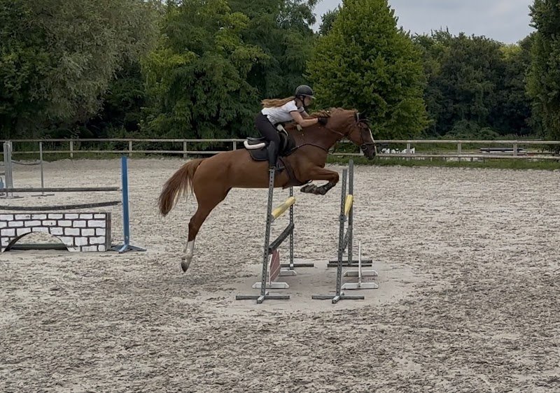 Ecurie de la Croix Saint Antoine - photo 1