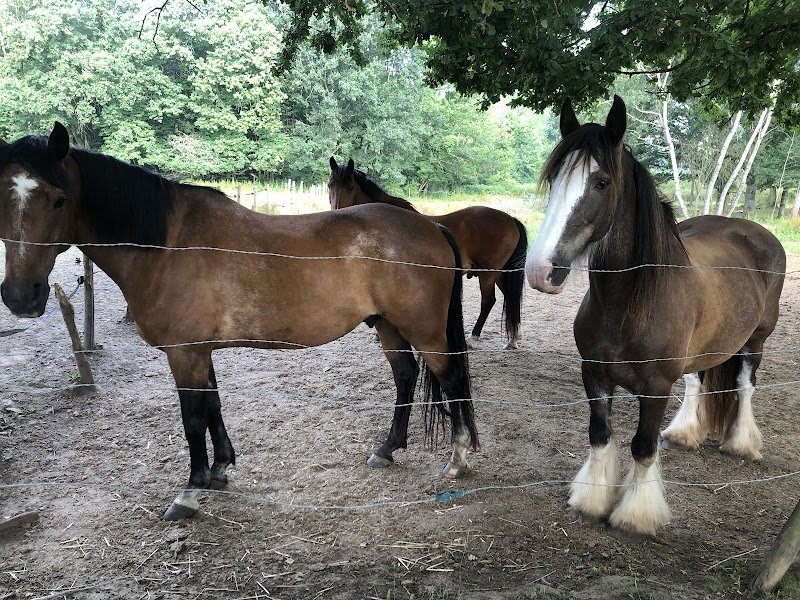 L Epinette de Boisemont