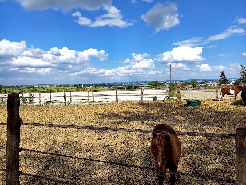 L Epinette de Boisemont - photo 3