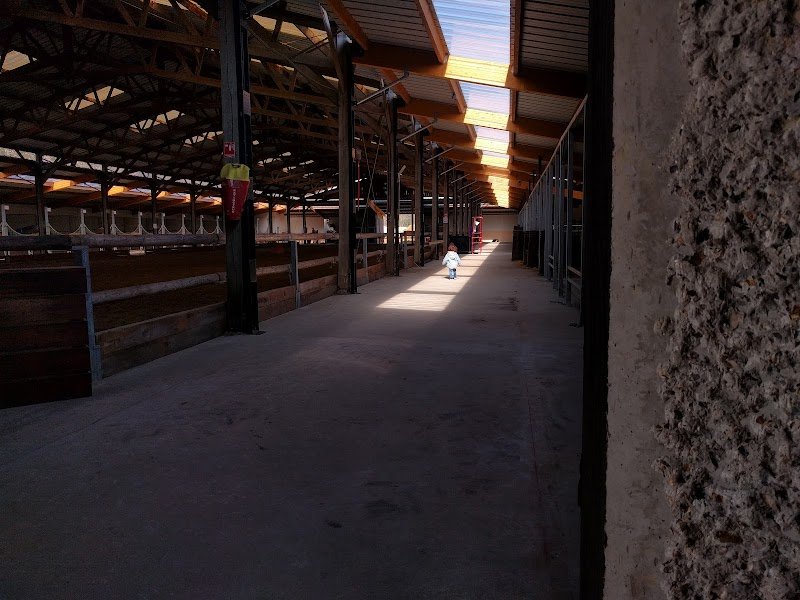 Centre Équestre & Poney Club de Franconville - photo 3