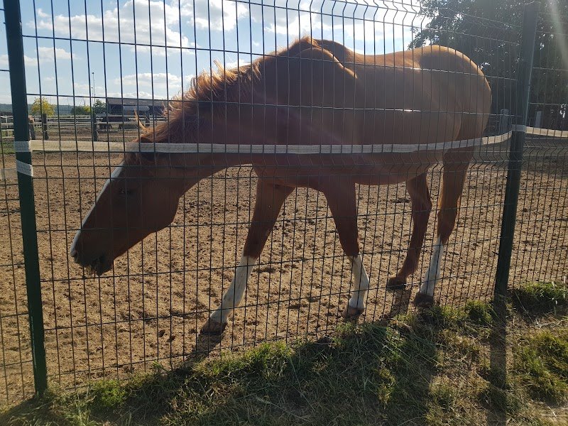 Centre équestre du Plessis Bouchard - photo 2