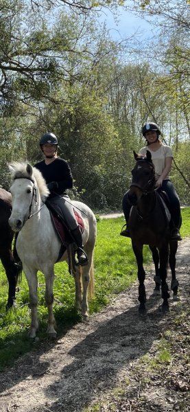 Ecurie de la ferme des Tilleuls - photo 3