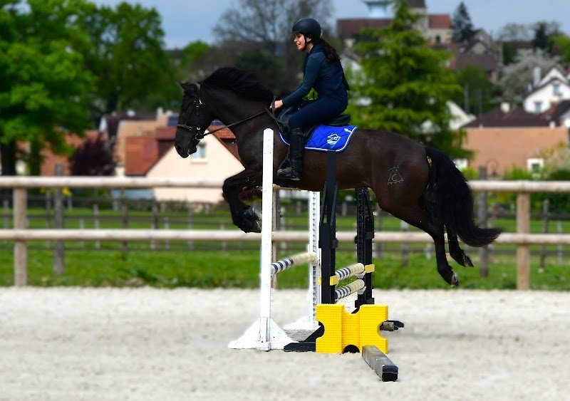 Écurie du Mont Rouge - photo 2