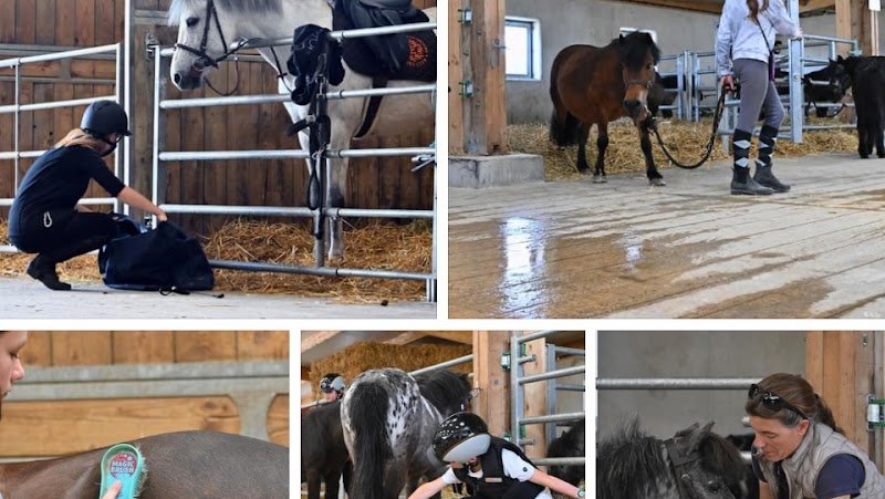 Domaine de la Couture - PONEY CLUB