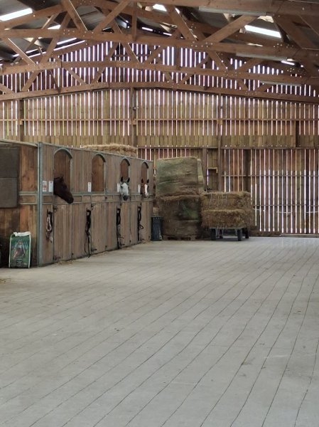 Domaine de la Couture - PONEY CLUB - photo 2