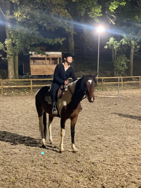 Centre Equestre Le Galop Sannois - photo 2