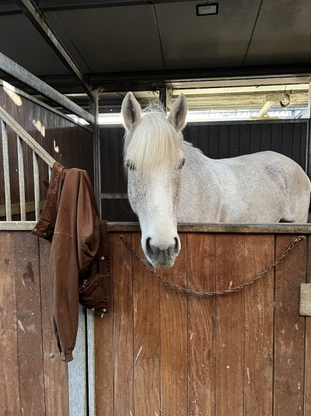 Haras de Valeme - photo 1