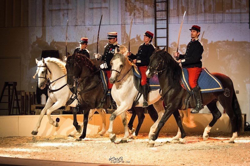 Le Manège de Tilly - photo 2