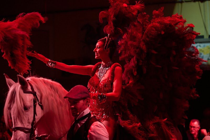 Le Manège de Tilly - photo 3