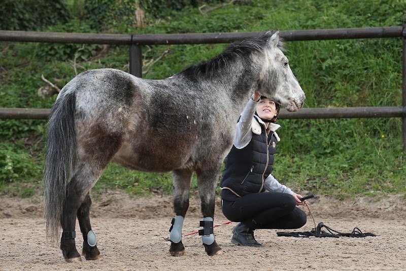 Centre Équestre de Maurecourt - photo 3