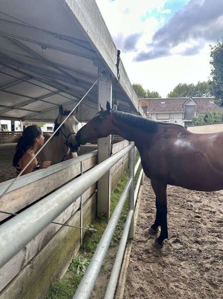 Ecurie du Cercle - photo 2