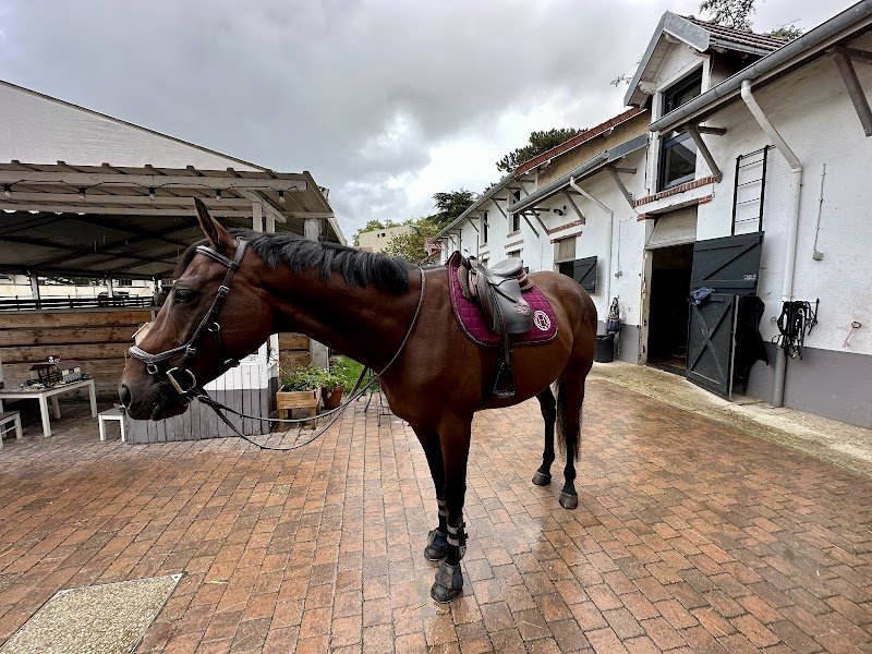 Ecurie du Cercle - photo 3