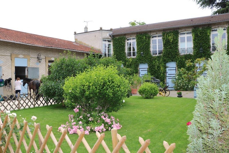 Ecurie Les Petits Chevaux Maisons-Laffitte - photo 3