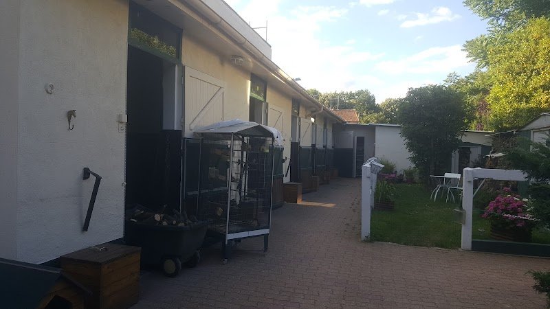 Écurie Berryer – Brigitte Simon - photo 2