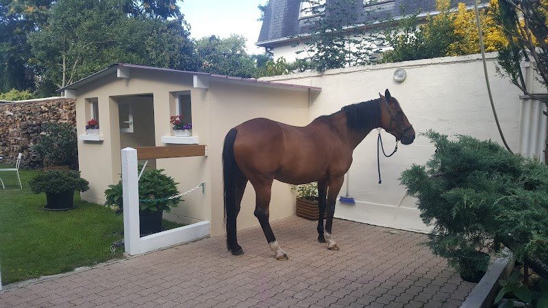 Écurie Berryer – Brigitte Simon - photo 3