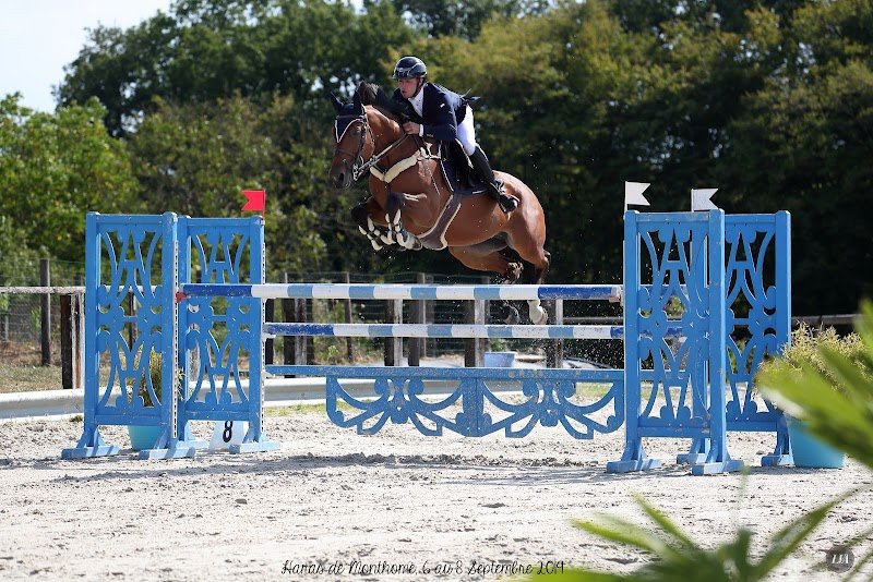 Écurie Marvin LECANU - photo 2