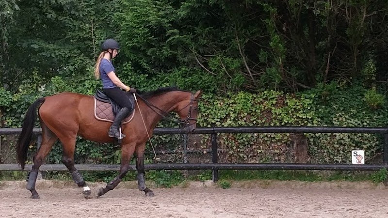 Ecurie Marivaux - photo 2