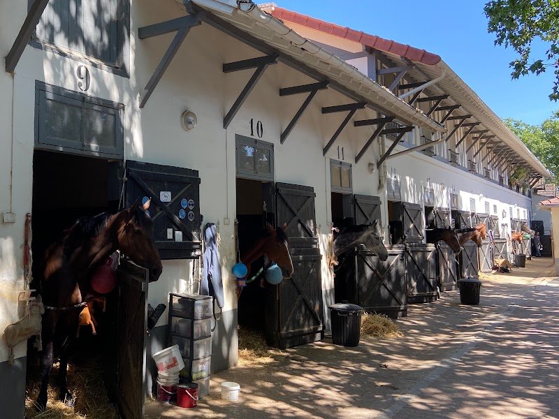 Ecurie Eglé - photo 3