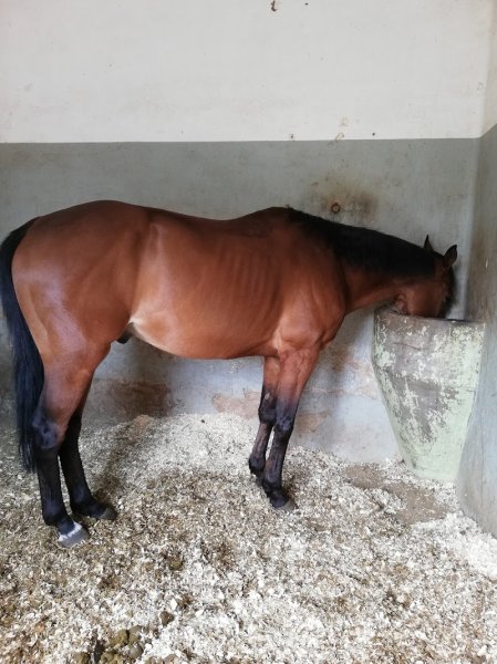 Ecurie Xavier Hondier