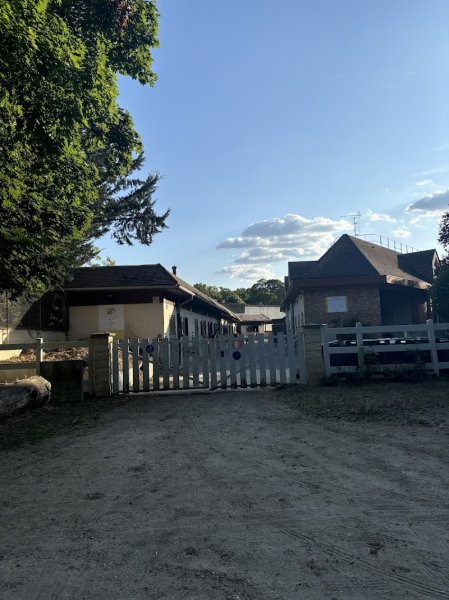 Écuries ID Sport • Élevage du Talion - photo 3