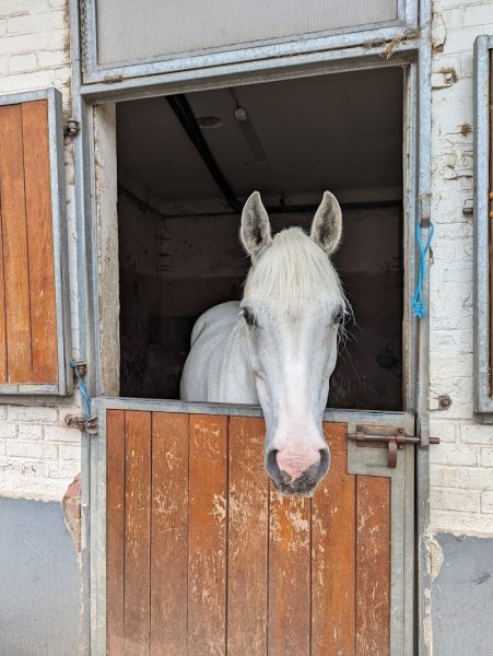 Centre Hippique de Maisons Laffitte - photo 3