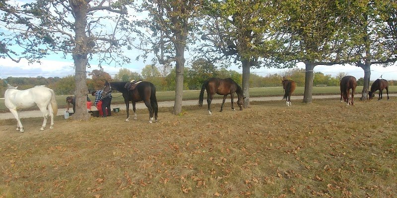 Ecurie Craft Original - photo 2