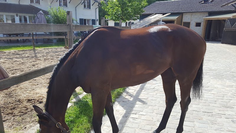 Ecurie Francis Alloncle - photo 1