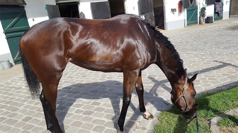 Ecurie Francis Alloncle - photo 3