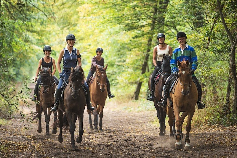 Horse Holidays France