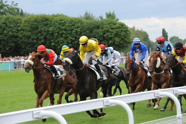 Horse Holidays France - photo 3