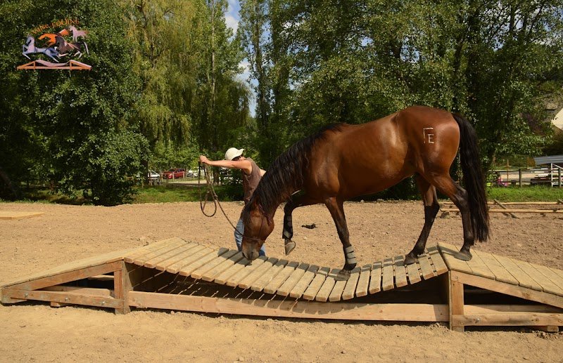 Ecurie Quilis - photo 2