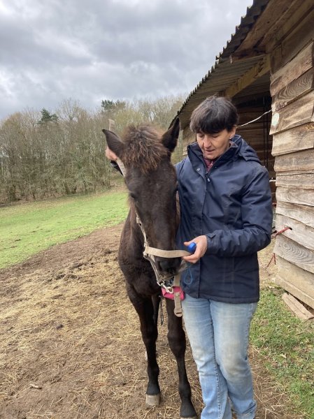 Ecurie Quilis - photo 3