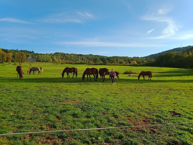 Centre équestre de Langlade - photo 2