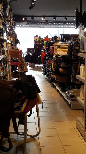 HORSES EQUIPEMENTS Equitation Brive - photo 3