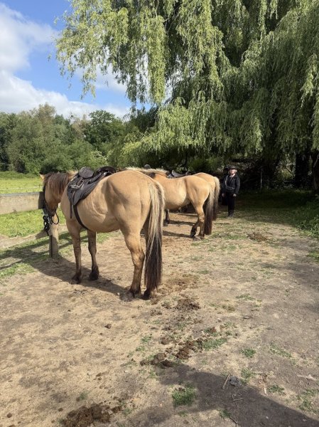 Espace Equestre Henson - Chantilly - photo 1