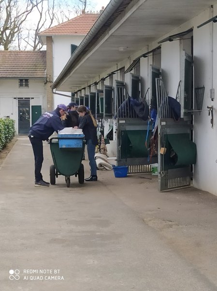 Ecurie Nicolas Clément - photo 2