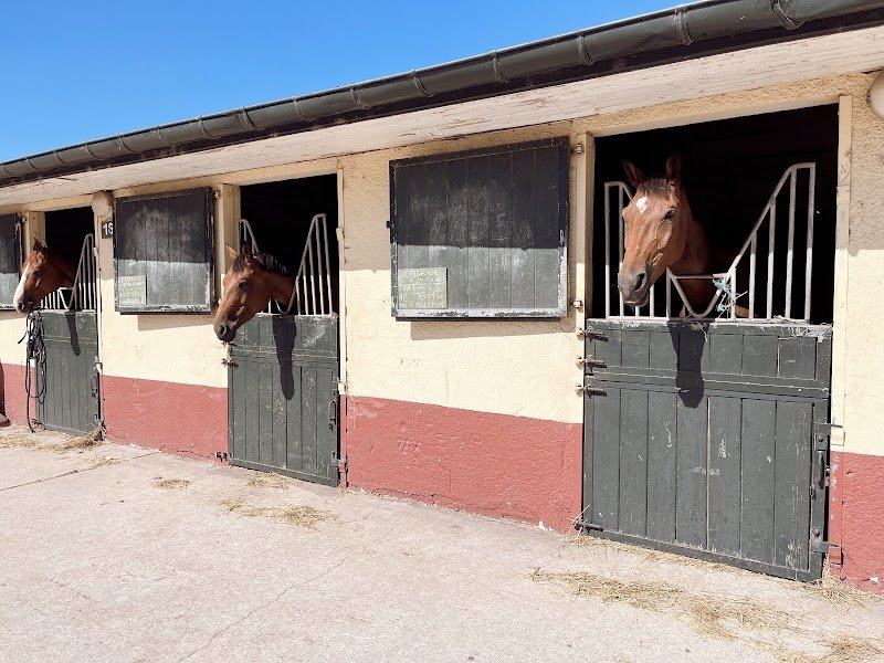 Centre Équestre du Touquet Paris-Plage - photo 2