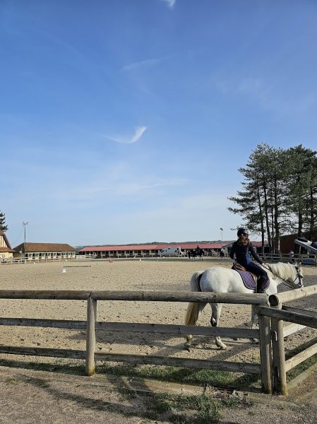Centre Équestre du Touquet Paris-Plage - photo 3