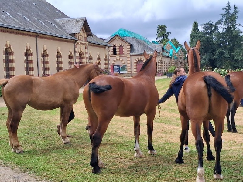 SARL Haras de saint Lô