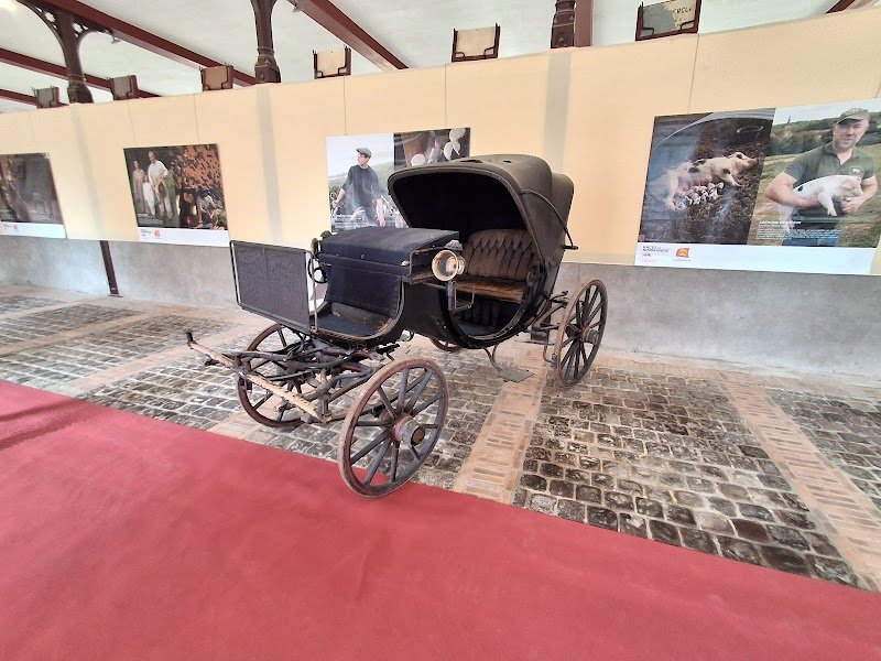 SARL Haras de saint Lô - photo 2