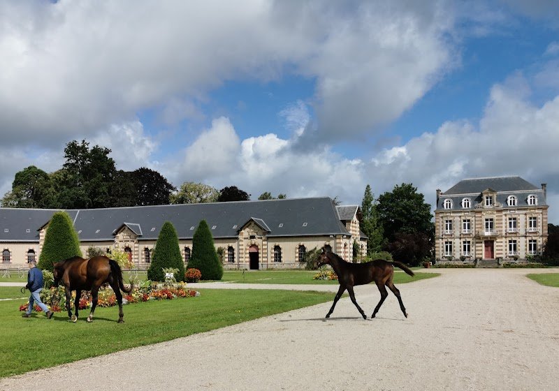 Pôle Hippique de Saint-Lô - photo 3
