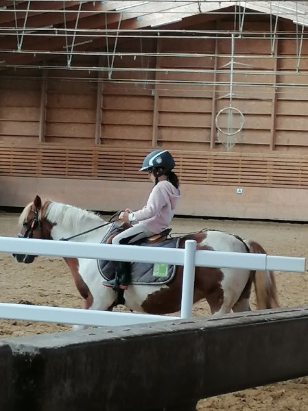 Centre Equestre du Pôle Hippique de Saint-Lô - photo 3