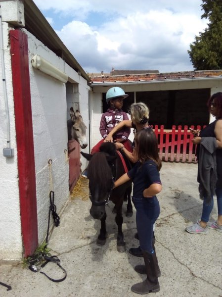 Les Écuries du Val Fleuri - photo 2