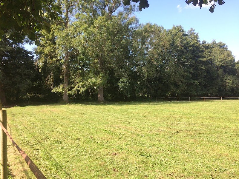 Les Écuries du Val Fleuri - photo 3