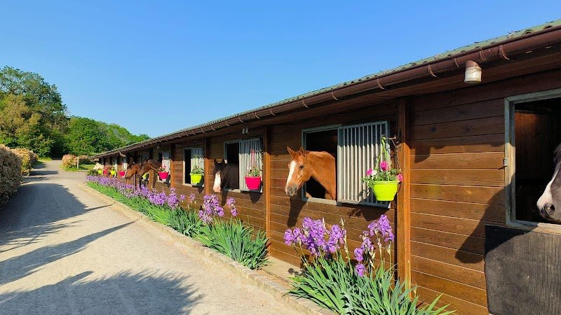 Ecuries d'Haravilliers - Écurie 95 - photo 2