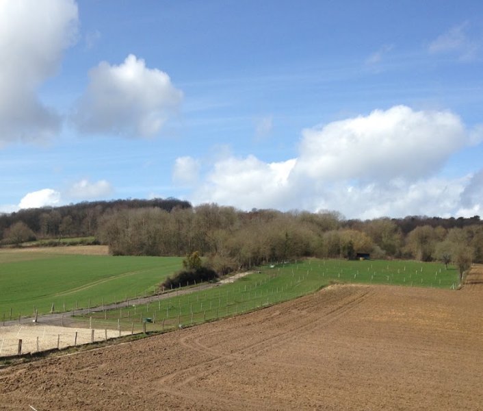 Ecurie de Drumal - photo 1