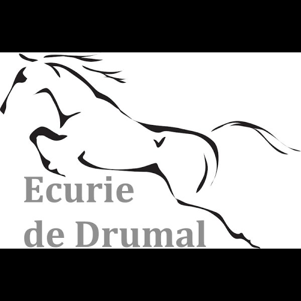 Ecurie de Drumal - photo 3