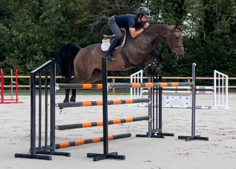 Haras de Genainville - photo 1